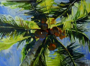 palm tree leaves and coconuts