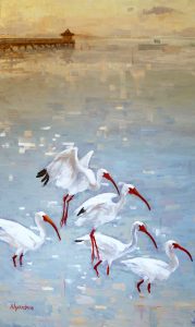 ibises in the water
