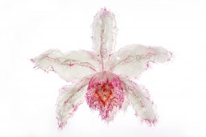 pink orchid sculpture
