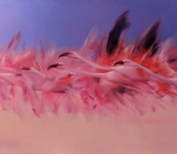 group of pink flamingos flying