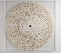 Coral Captivation <br />
Plant Fiber <br />
40 x 40