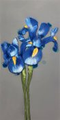blue irises