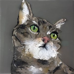 gray tabby cat portrait