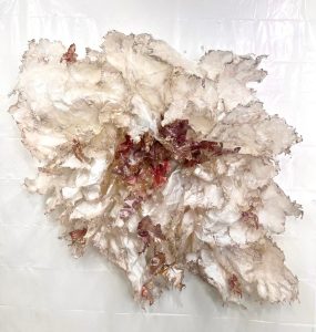 Stellar Garden <br />
Resin, metallic paint, and ink<br />
48 x 53