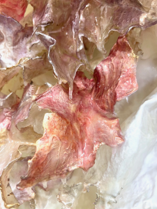 Stellar Garden (detail)