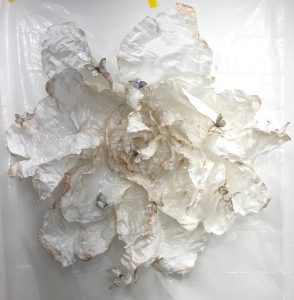 Suspended Wings <br />
Resin, gold leaf, inks<br />
50 x 53