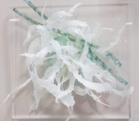 Entanglements in White<br />
Acrylic, resin, and natural fibers<br />
16 x 16 x 4