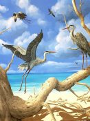 gray herons flying on the beach