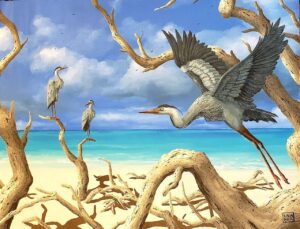 herons on the beach