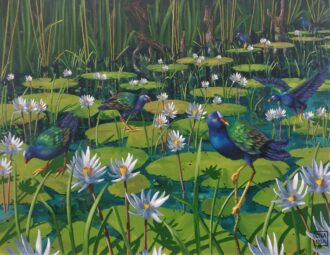 Purple Gallinules<br />
Oil on Canvas<br />
35 x 45