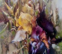 Yellow Iris<br />
Oil on Canvas<br />
23.5 x 19.5