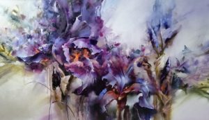 purple irises