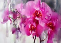 Pink Orchids in the Rain