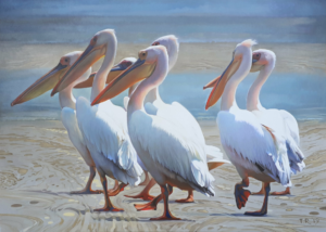 pelicans on the sand