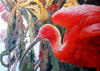 Scarlet Ibis (SOLD)<br />
Oil on canvas<br />
29.5 x 39.5