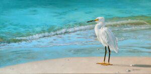 white bird on sea shore