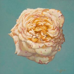 Earth Rose <br />
Oil on canvas<br />
36 x 36