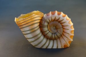 amber ammonite sculpture
